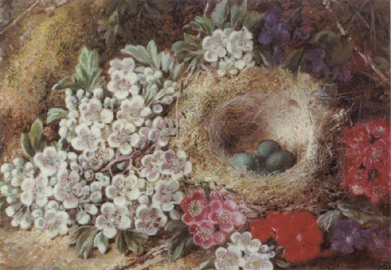 Clare George Bird-s Nest Still Life China oil painting art